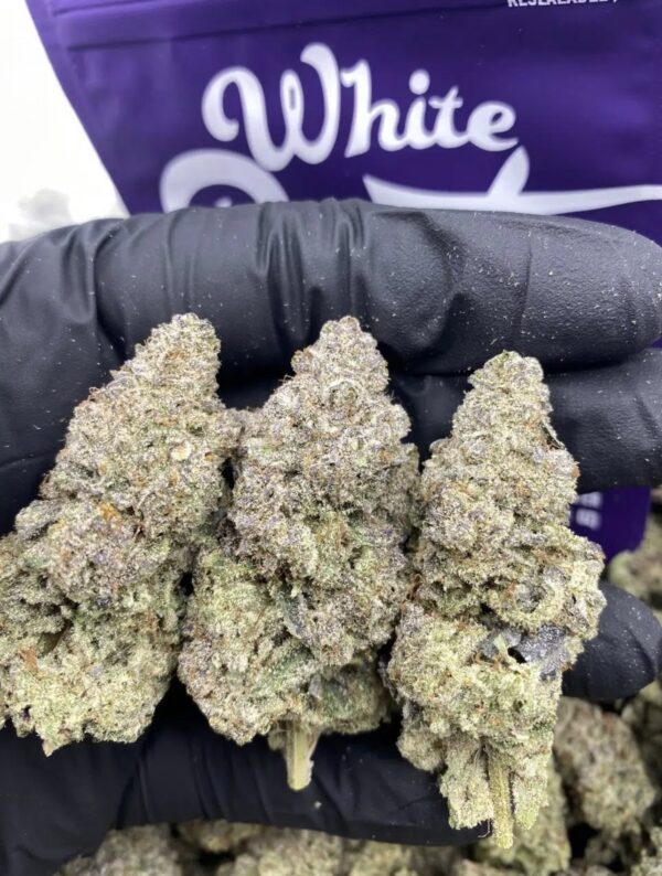 White Runtz (Hybrid)